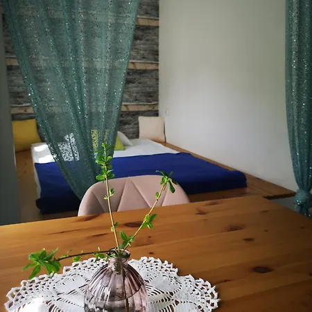Kot Pocztowy