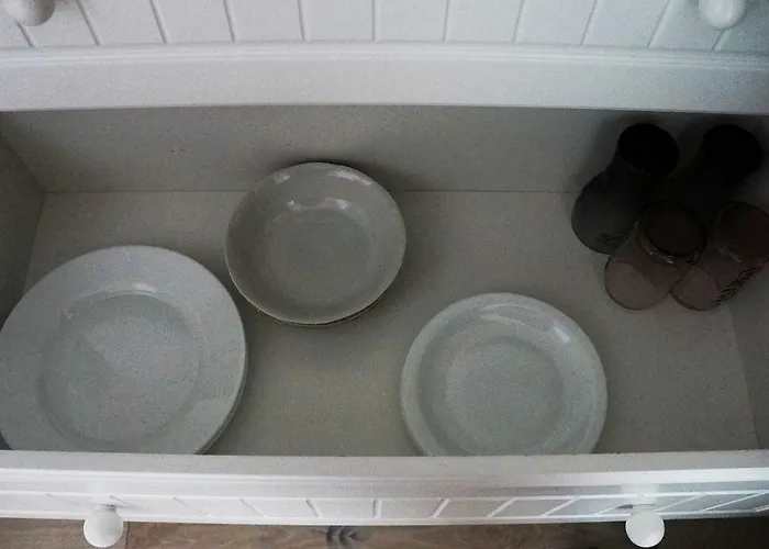 Kot Pocztowy * Długopole-Zdrój