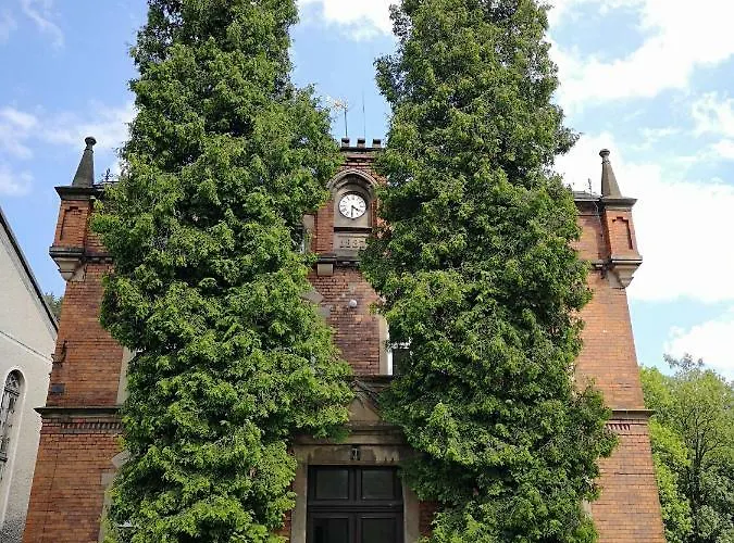 Kot Pocztowy Apartamento